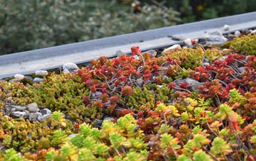 the cost of Strathmiglo green roof installation