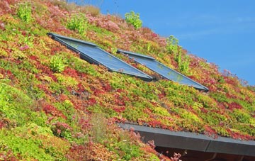 Strathmiglo living roof systems