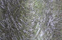 Strathmiglo fibreglass roof work